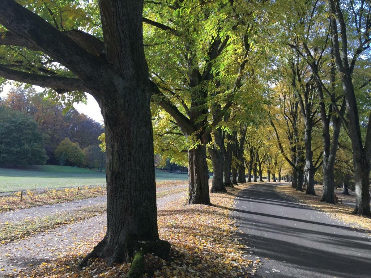 Suite Mit Blick Auf Die Lichtentaler Allee Баден-Баден Екстериор снимка